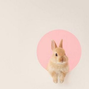 Meet your Posher, Ema